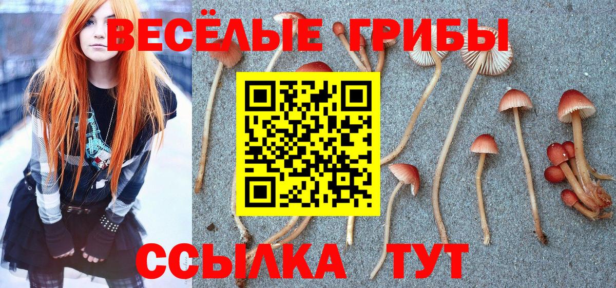 Псилоцибиновые грибы прущие грибы Миллерово